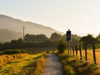 Camino de Santiago