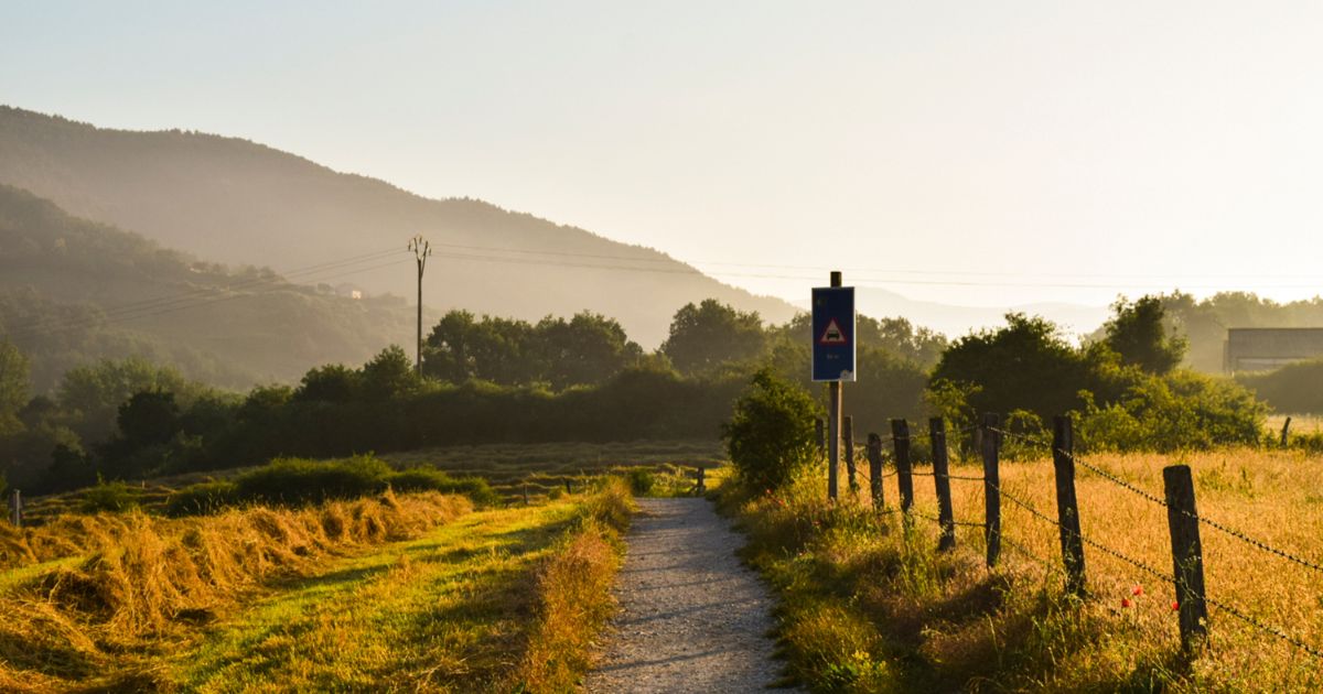Camino de Santiago