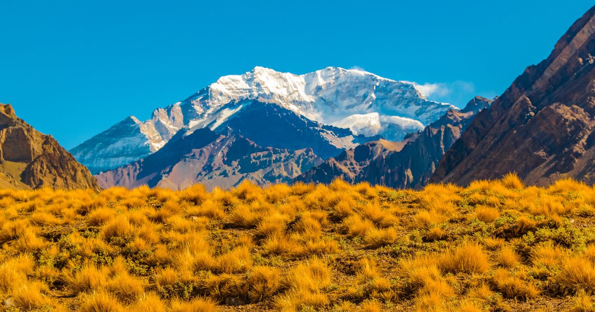 The Ultimate 10-Day Argentina Adventure