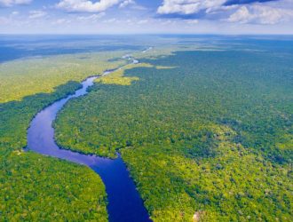 The Ultimate 10-Day Brazil Adventure