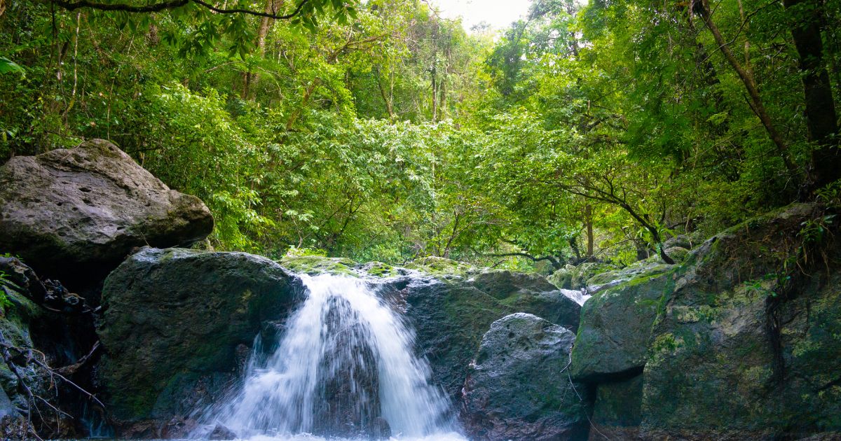 The Ultimate 10-Day Madagascar Adventure